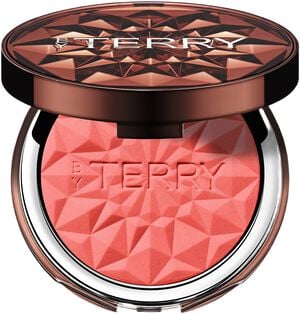 Tea to Tan Powder Blush N4 - Coral