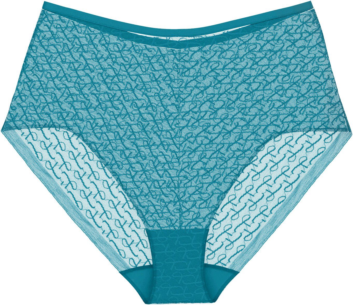 Triumph Signature Sheer Maxi EX