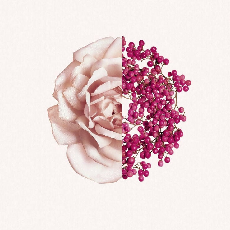 GIV IR EDT FRAI 50ML