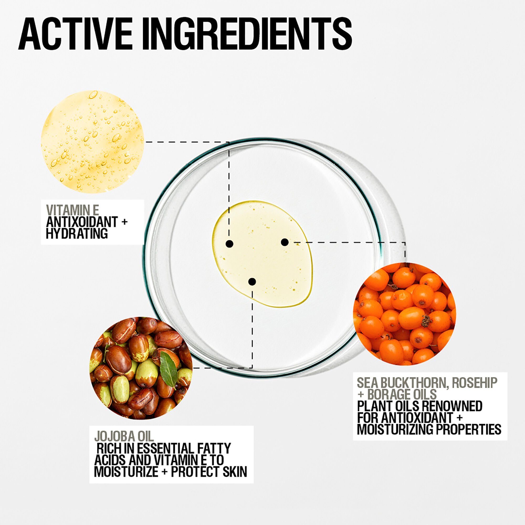 Skin Renewal Facial Oil