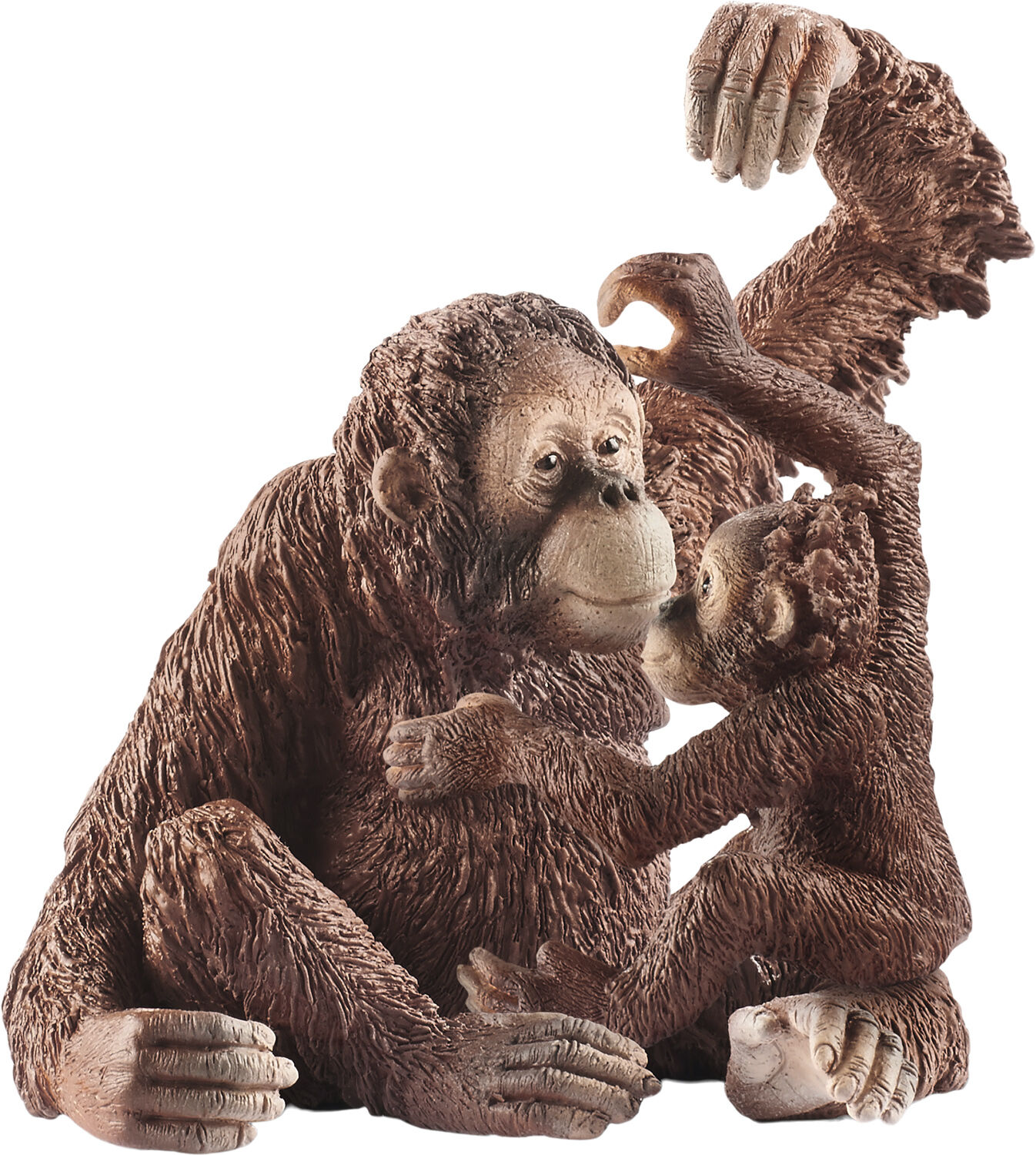 SCH14775 Orangutan female