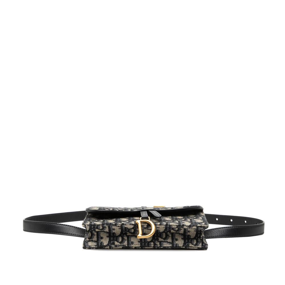 Dior Belt Bag