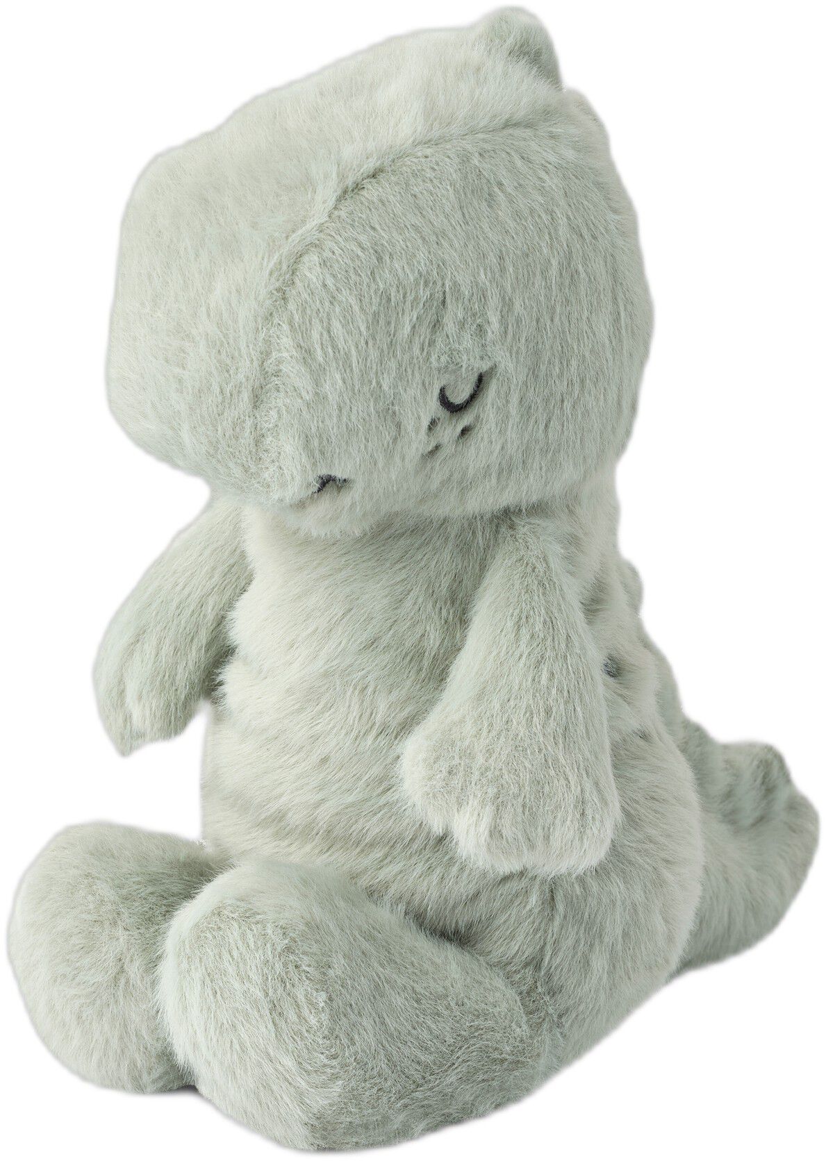 Berto Dino Teddy