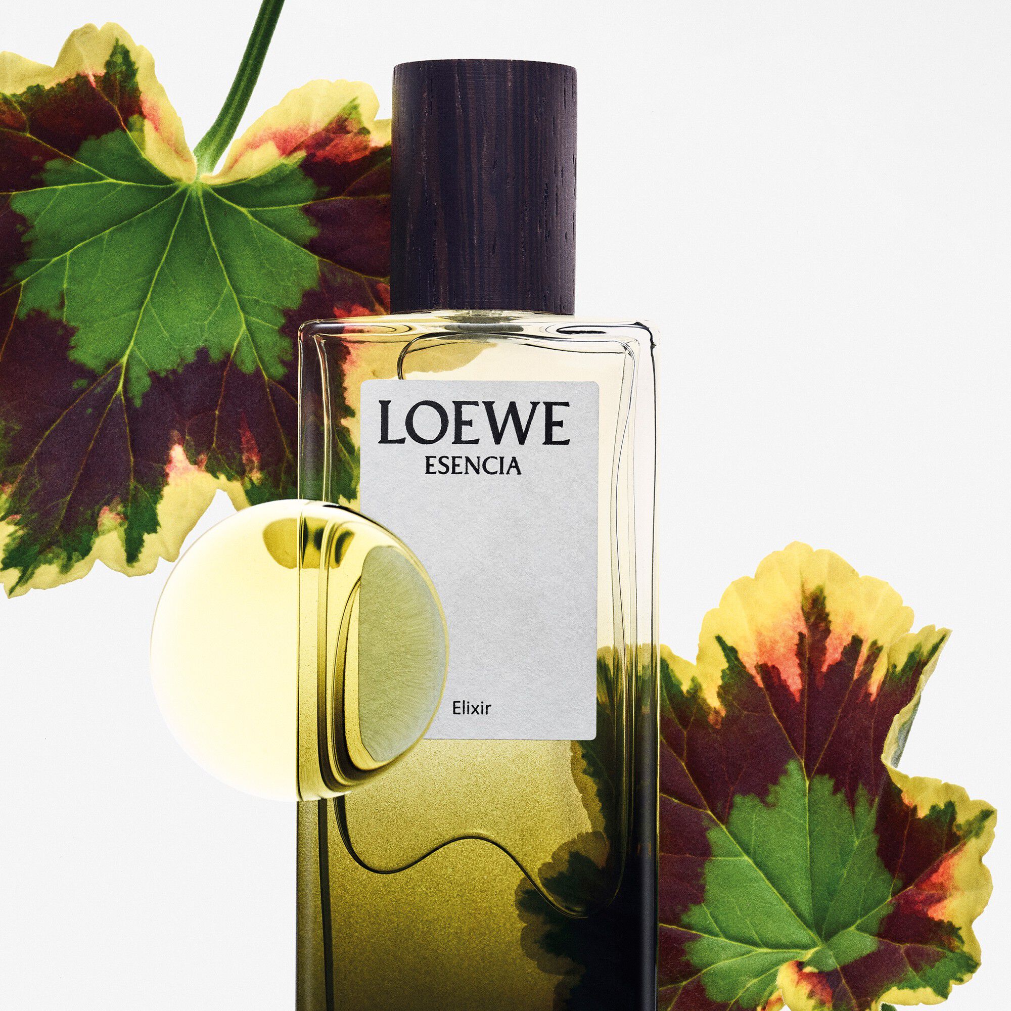 LOEWE Esencia Elixir Eau de Parfum