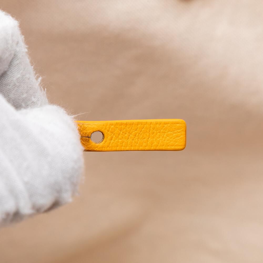 Goyard St Louis Tote