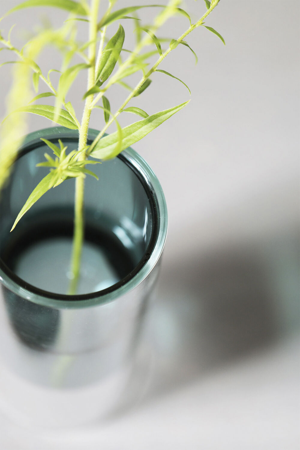 FLOWER TUBE, TALL TUBE, CYAN, 65200C