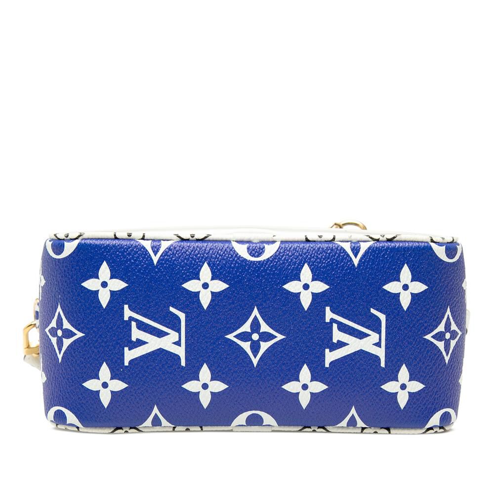 Louis Vuitton Pouch