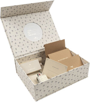 MEMORY BOX