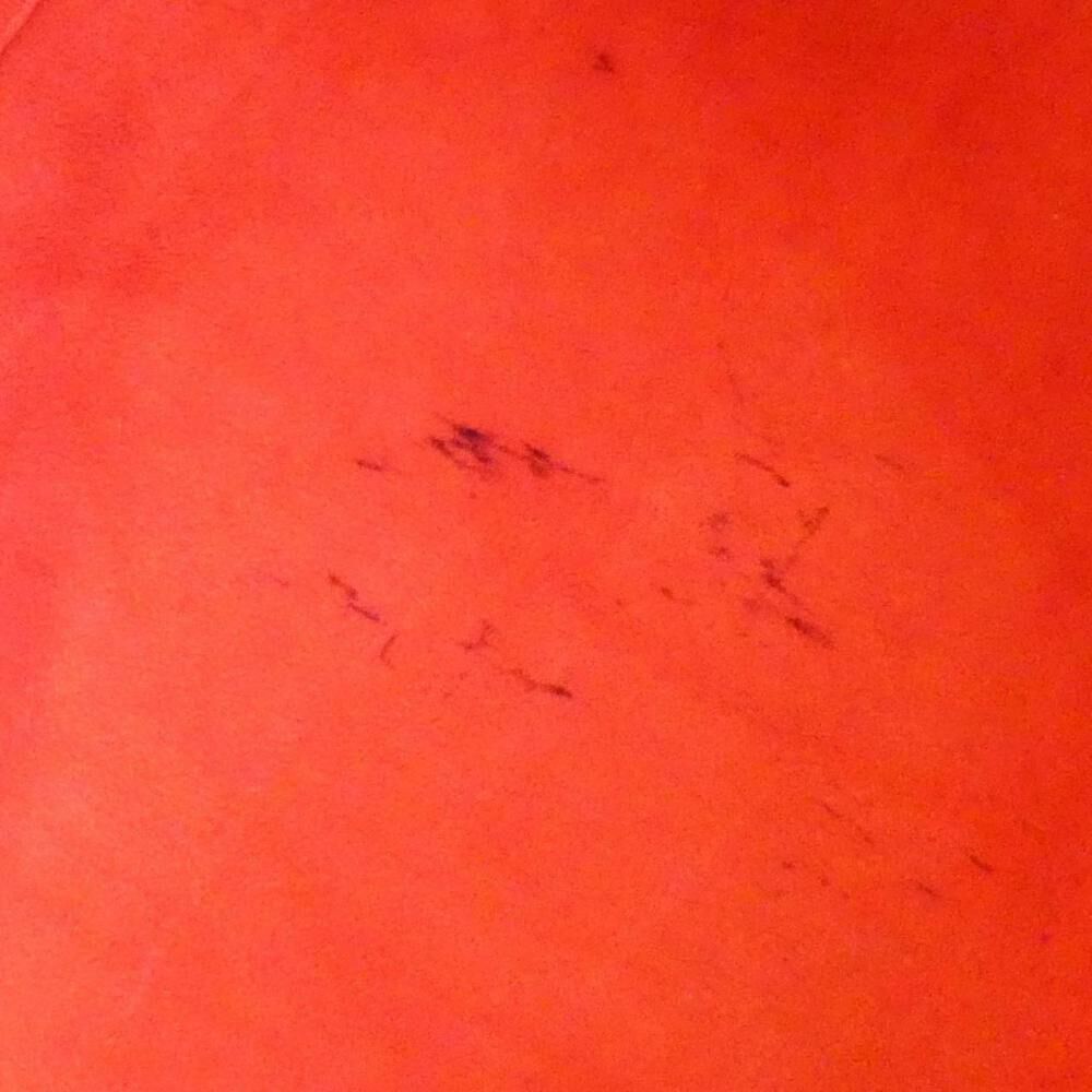 Louis Vuitton Saleya