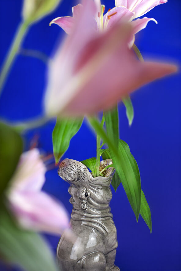 Vase - Hungry Hippo