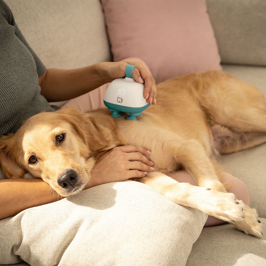 PetCare PP 410 Buddy Massageapparat til k&aelig;ledyr