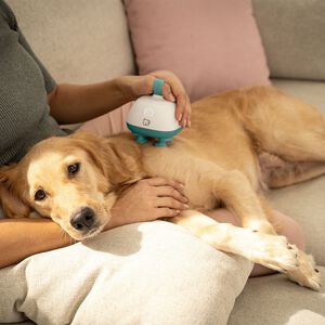 PetCare PP 410 Buddy Massageapparat til kæledyr