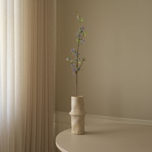 Snow Willow Branch