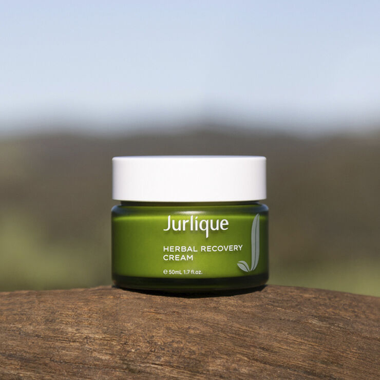 Herbal Recovery Cream