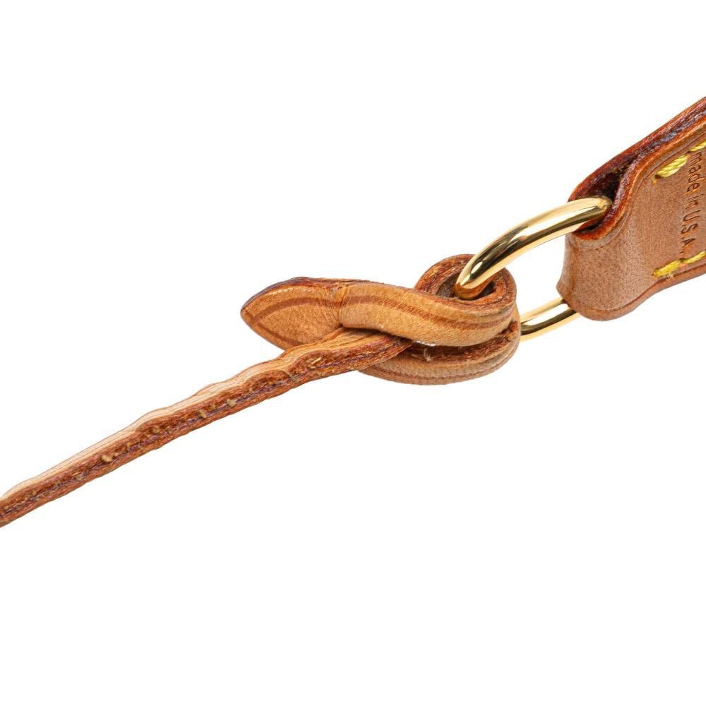 Louis Vuitton Pochette Accessoires