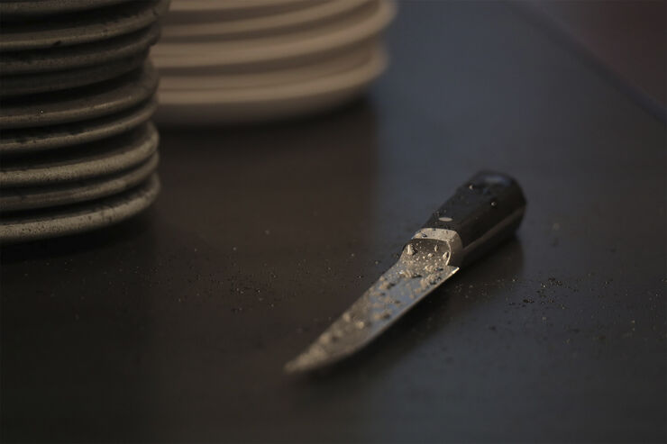 Little Fish - kniv 17 cm