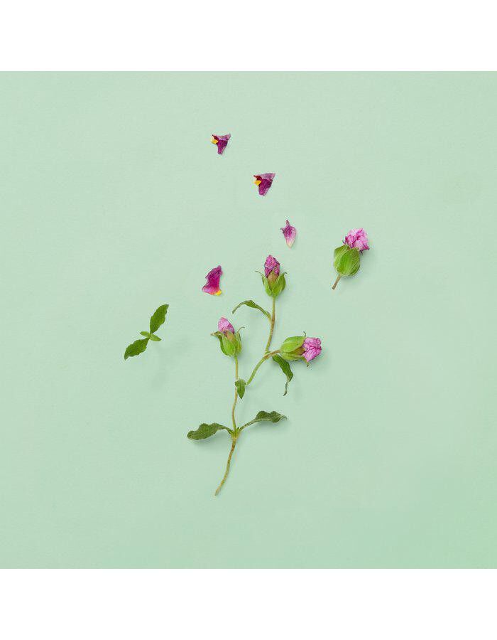 GUCCI Guilty PH Parfume Eau de parfum