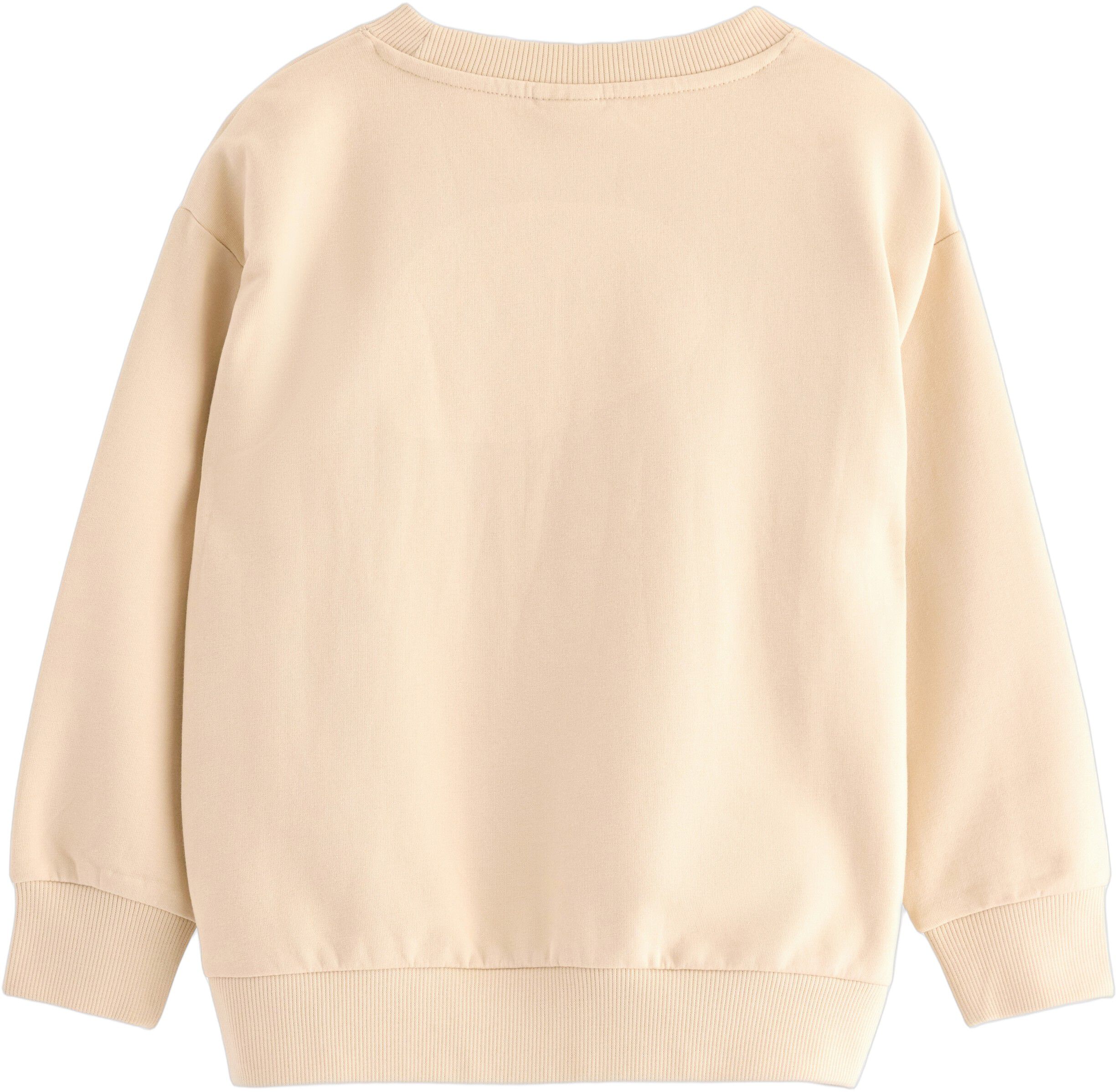 Soft jersey sweatshirt with a brush