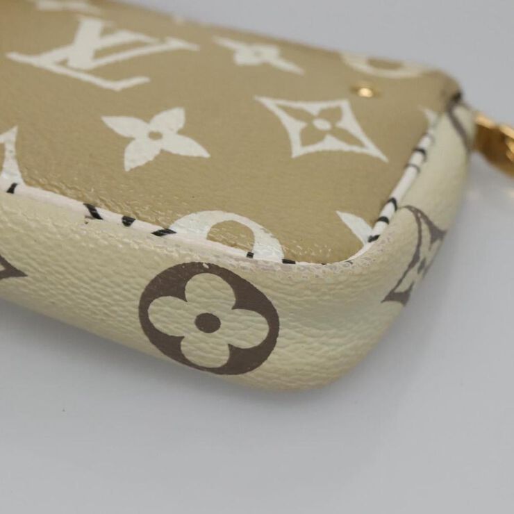 Louis Vuitton Pochette Accessoires
