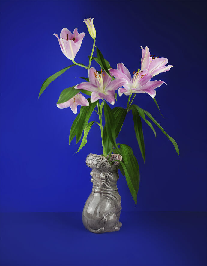 Vase - Hungry Hippo