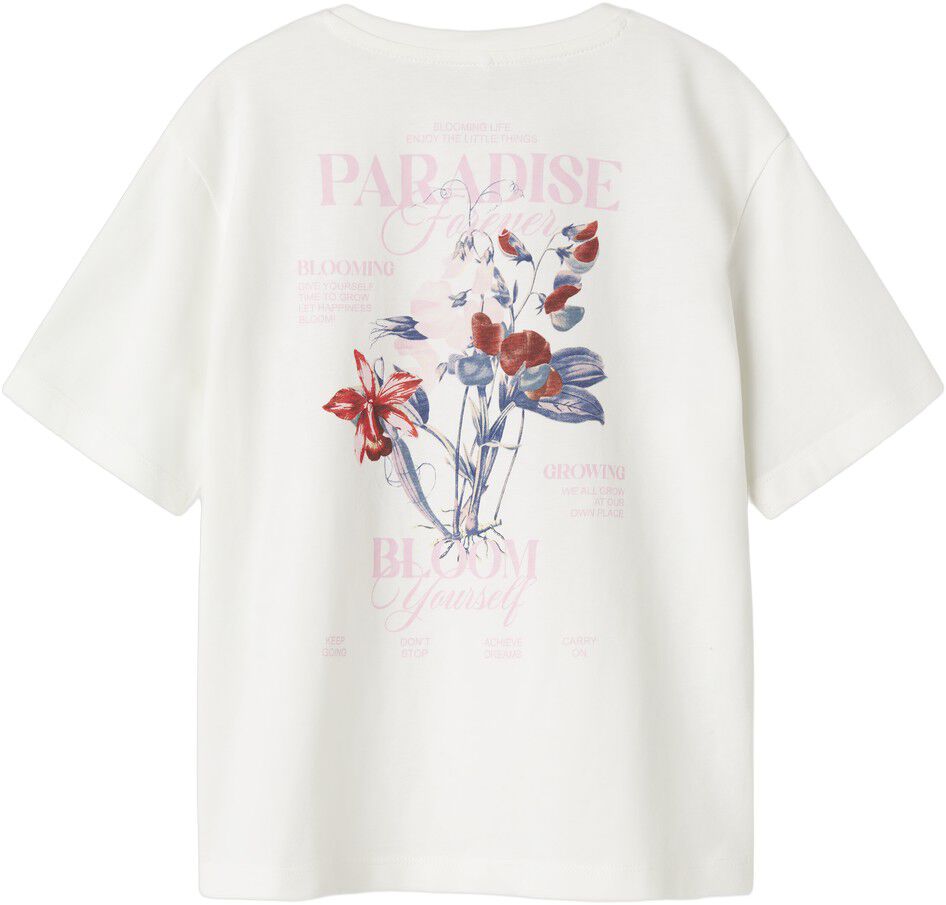 NKFNORLA SS NREG TOP