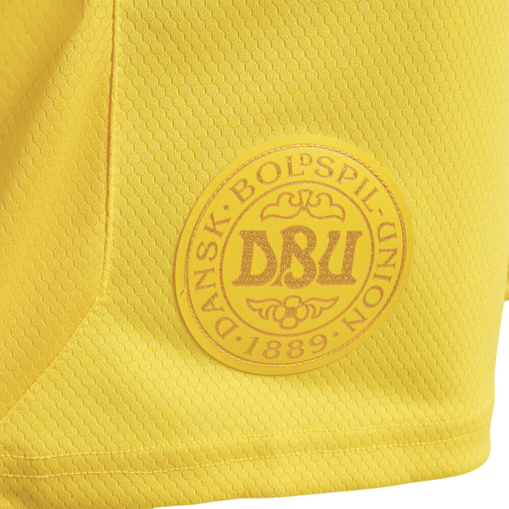 DBU Danmark m&aring;lmandsshorts 22