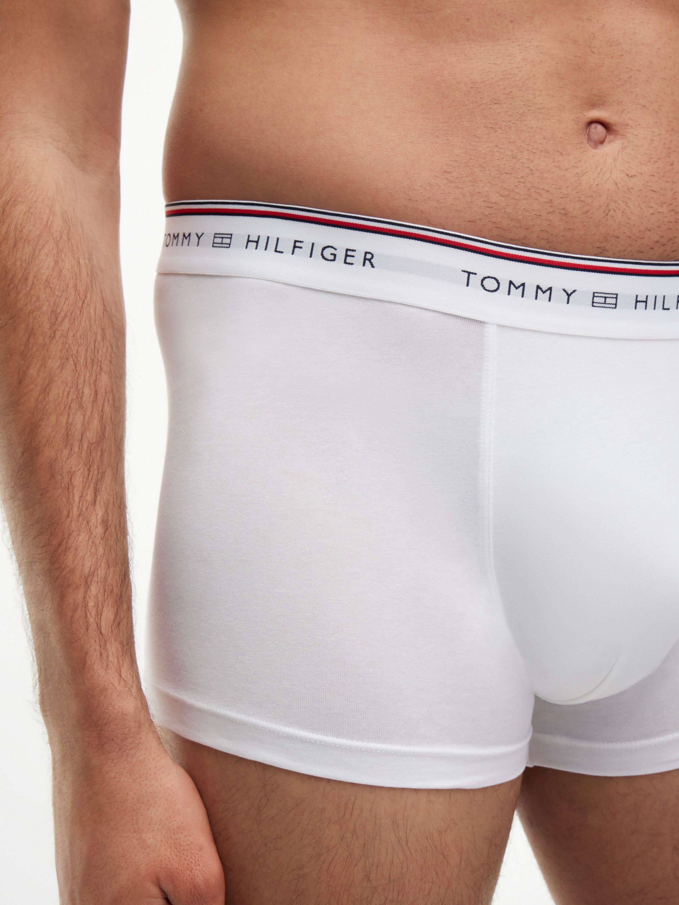3-Pack Global Stripe Logo Waistband Trunks