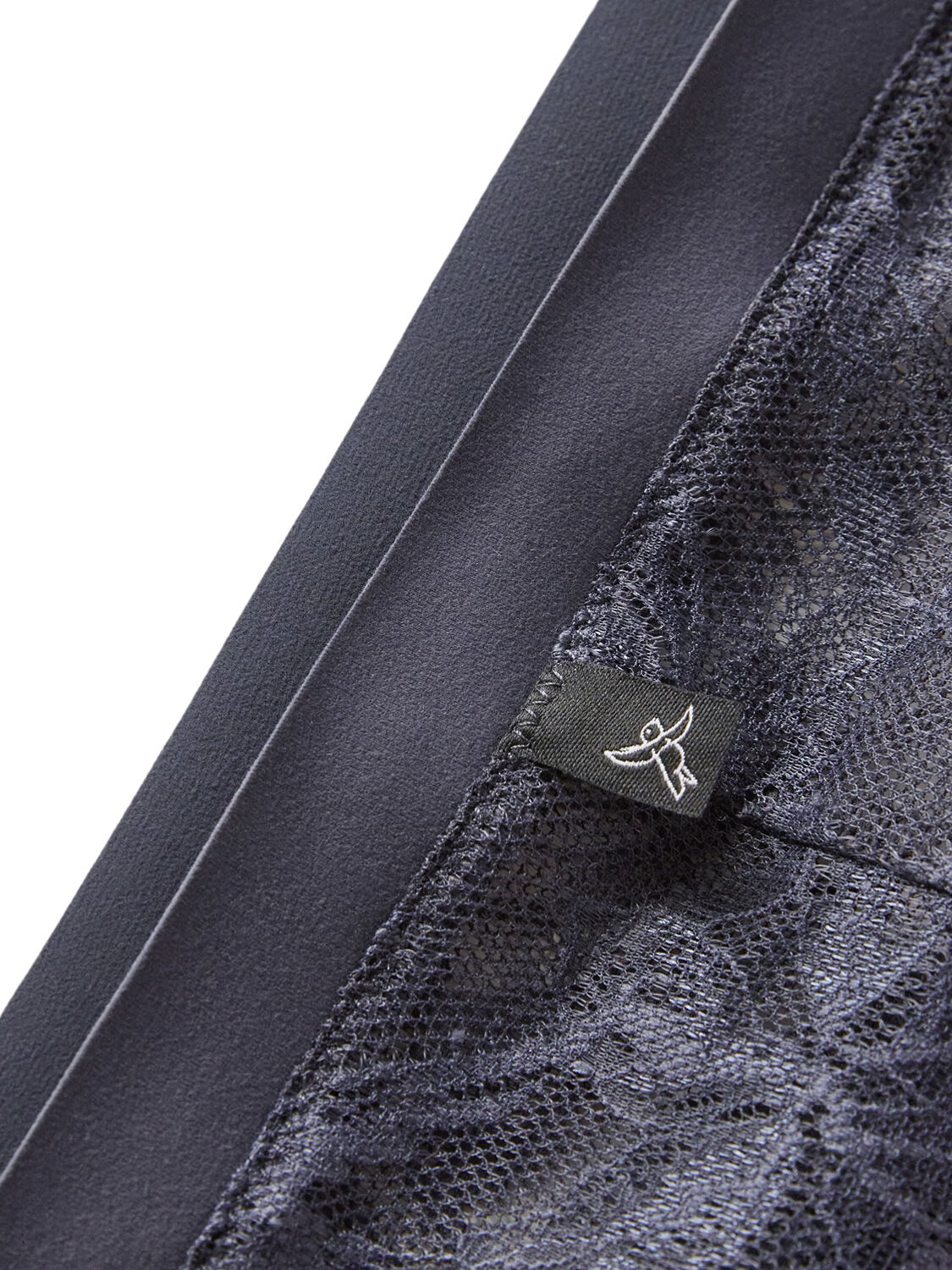 Brief the bird hipster