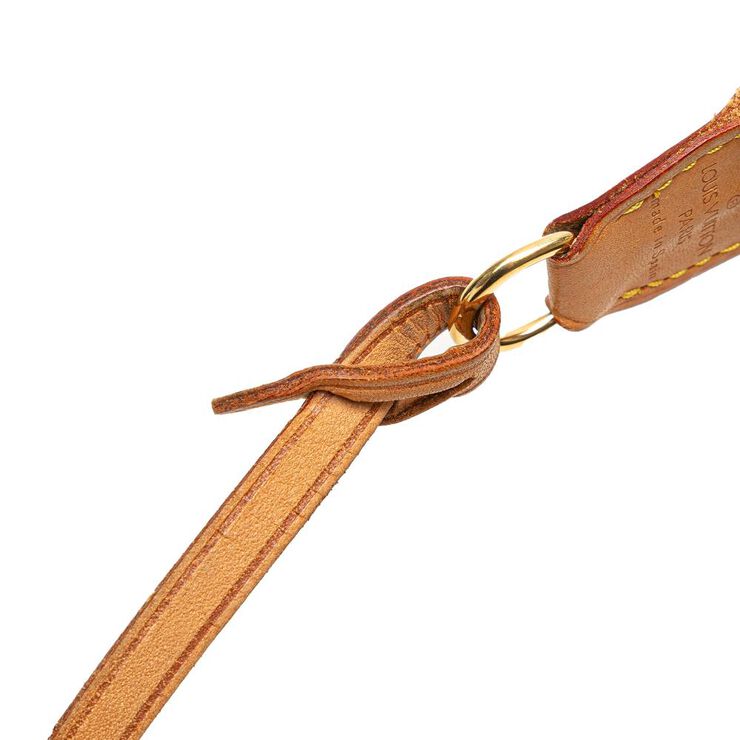 Louis Vuitton Pochette Accessoires