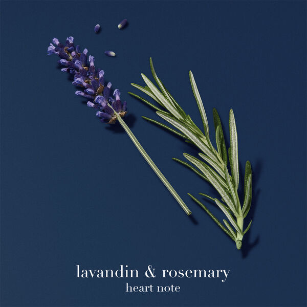 Acqua Di Giò Profondo Eau de Parfum