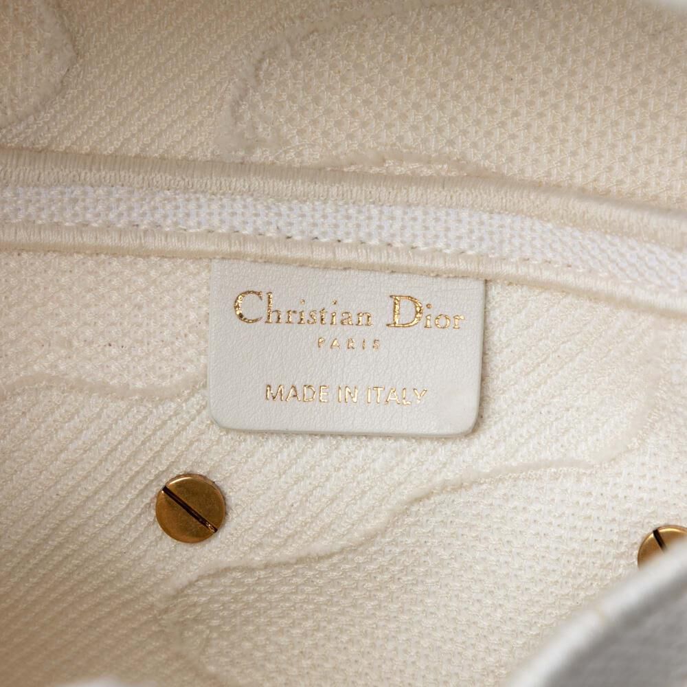 Dior Saddle Bag