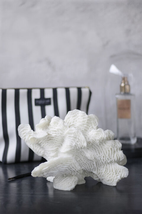 Coral, large fan