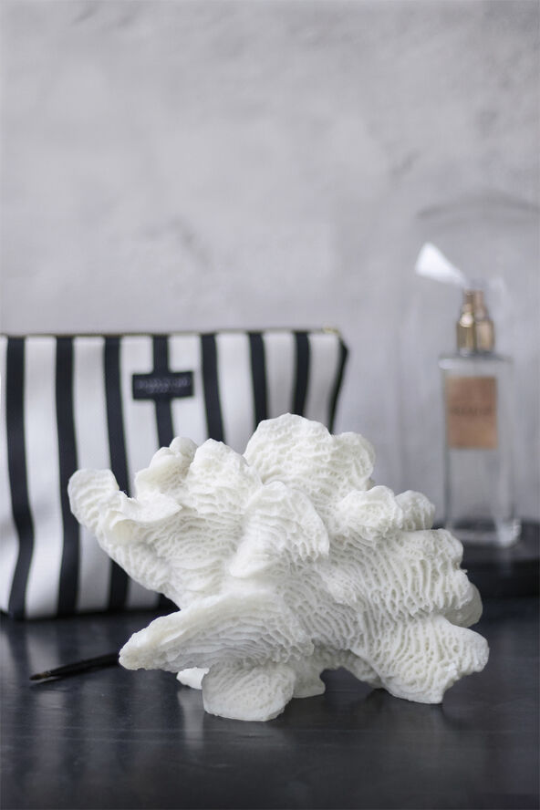 Coral, large fan