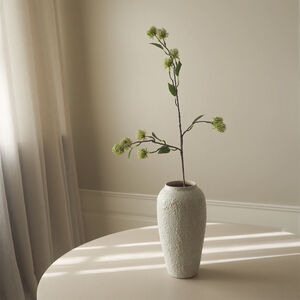 Hamamelis Branch