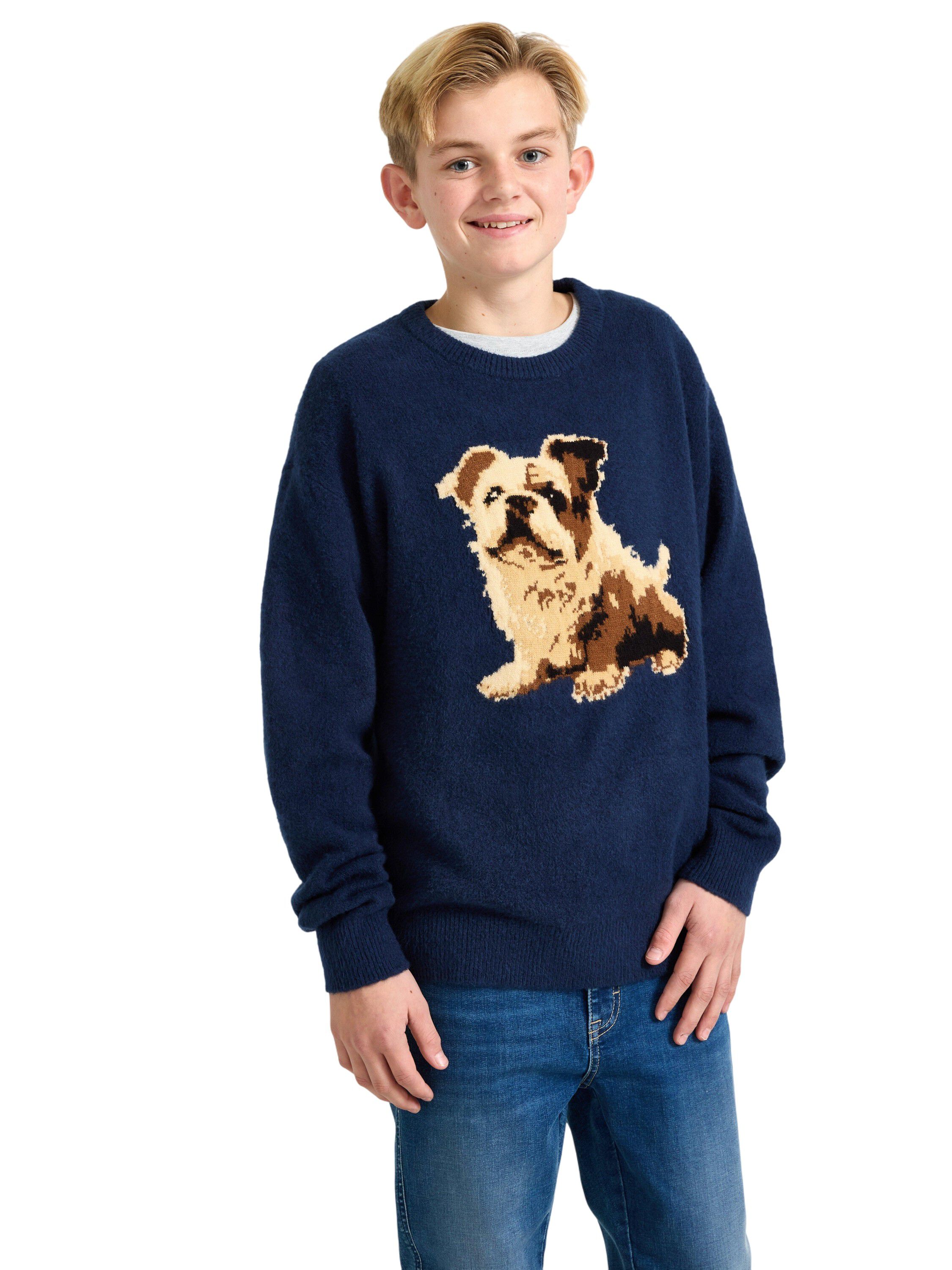 Sweater jaquard dog
