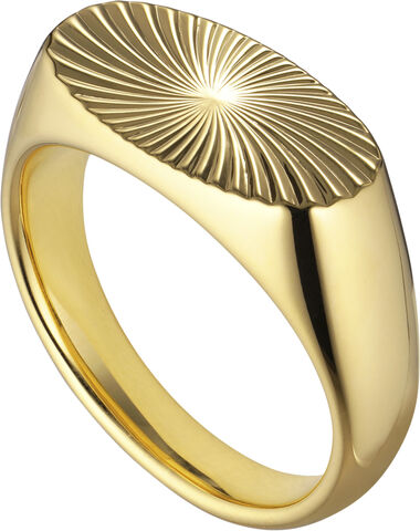 Reflection Signet ring, gold-plated sterling silver-46