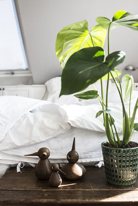 Bird lille egetræ røget