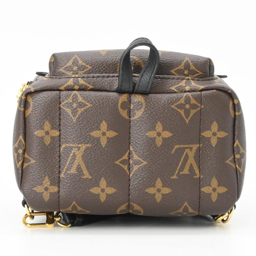 Louis Vuitton Palm Springs