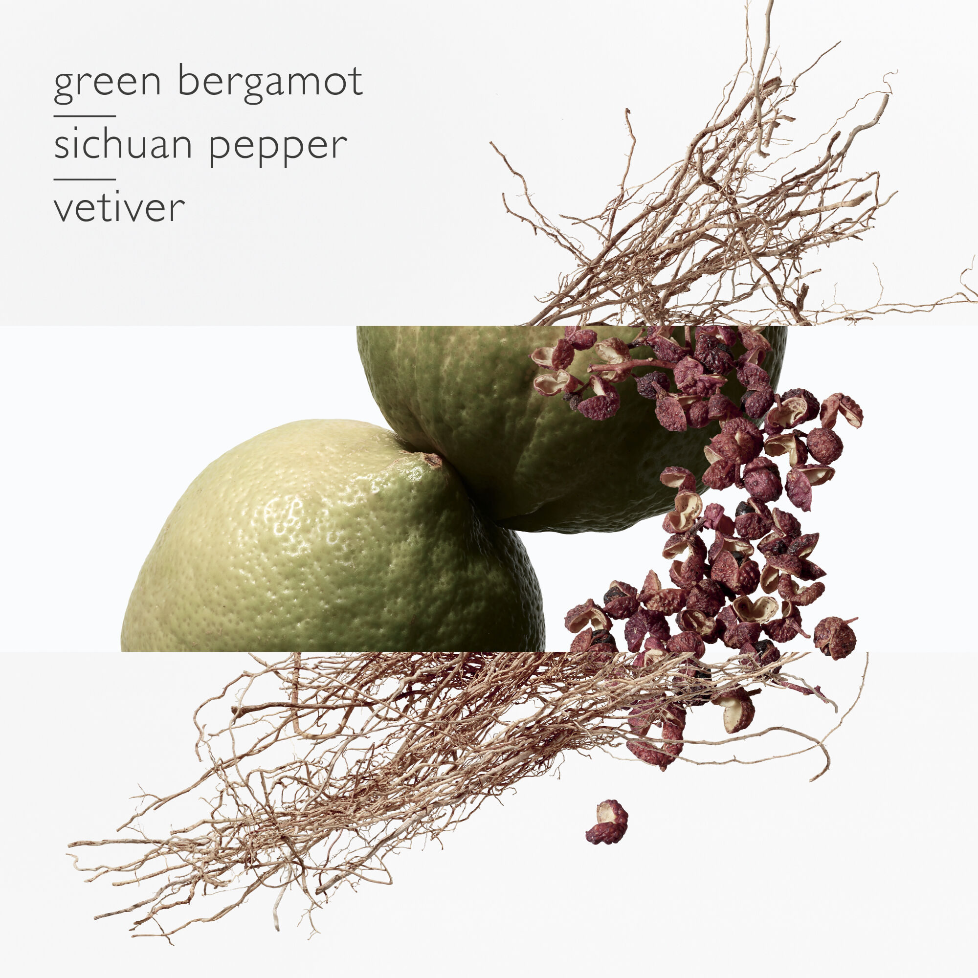 TERRE D'HERM&Egrave;S EAU INTENSE V&Egrave;TIVER, EAU DE PARFUM