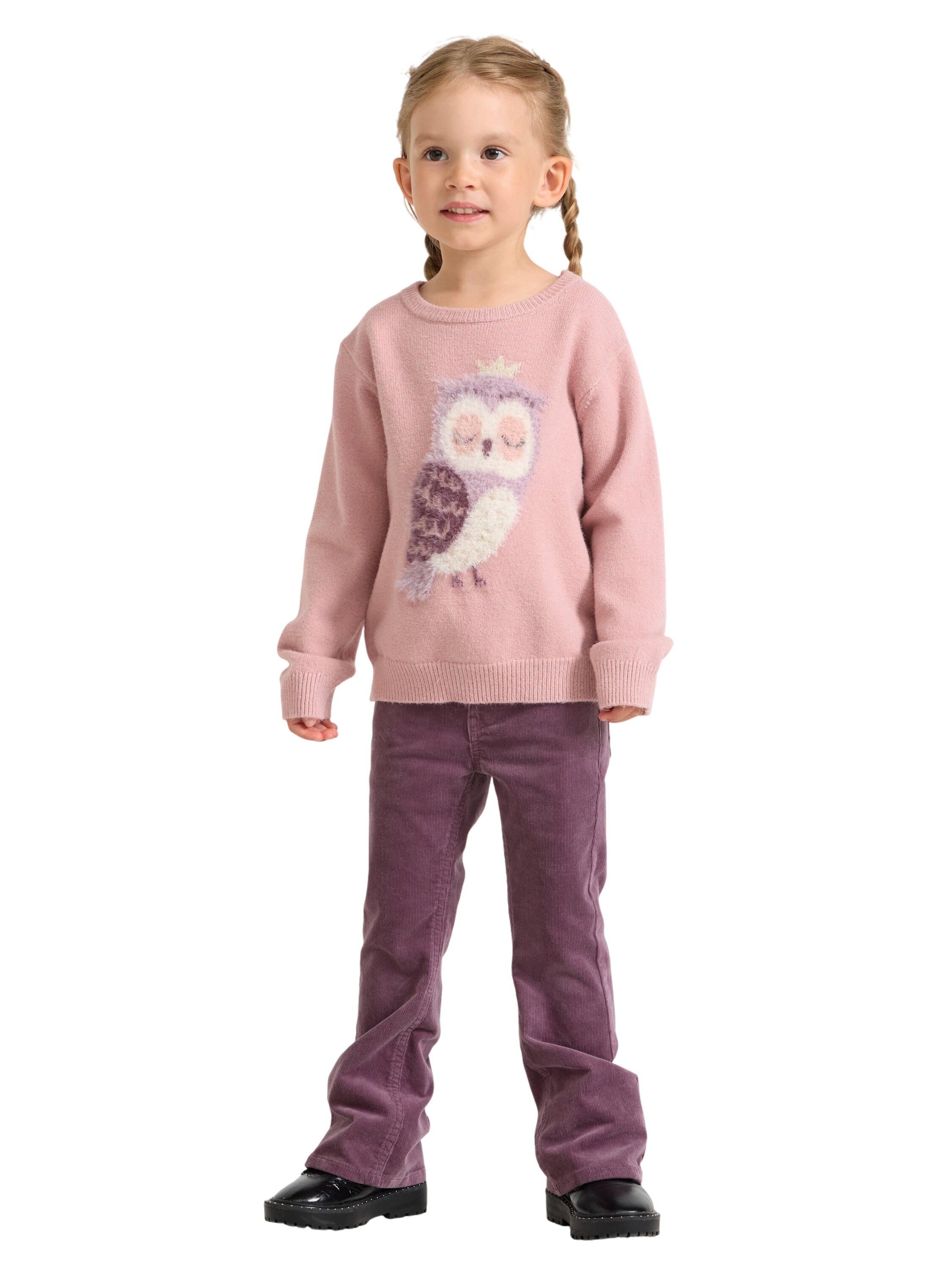 Sweater intarsia animal placem