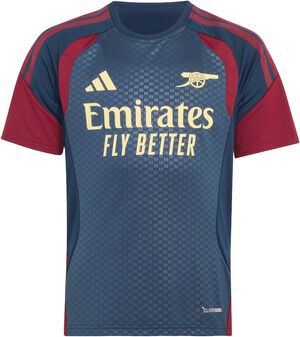 Arsenal FC 26/27 Cup Tiro T-shirt