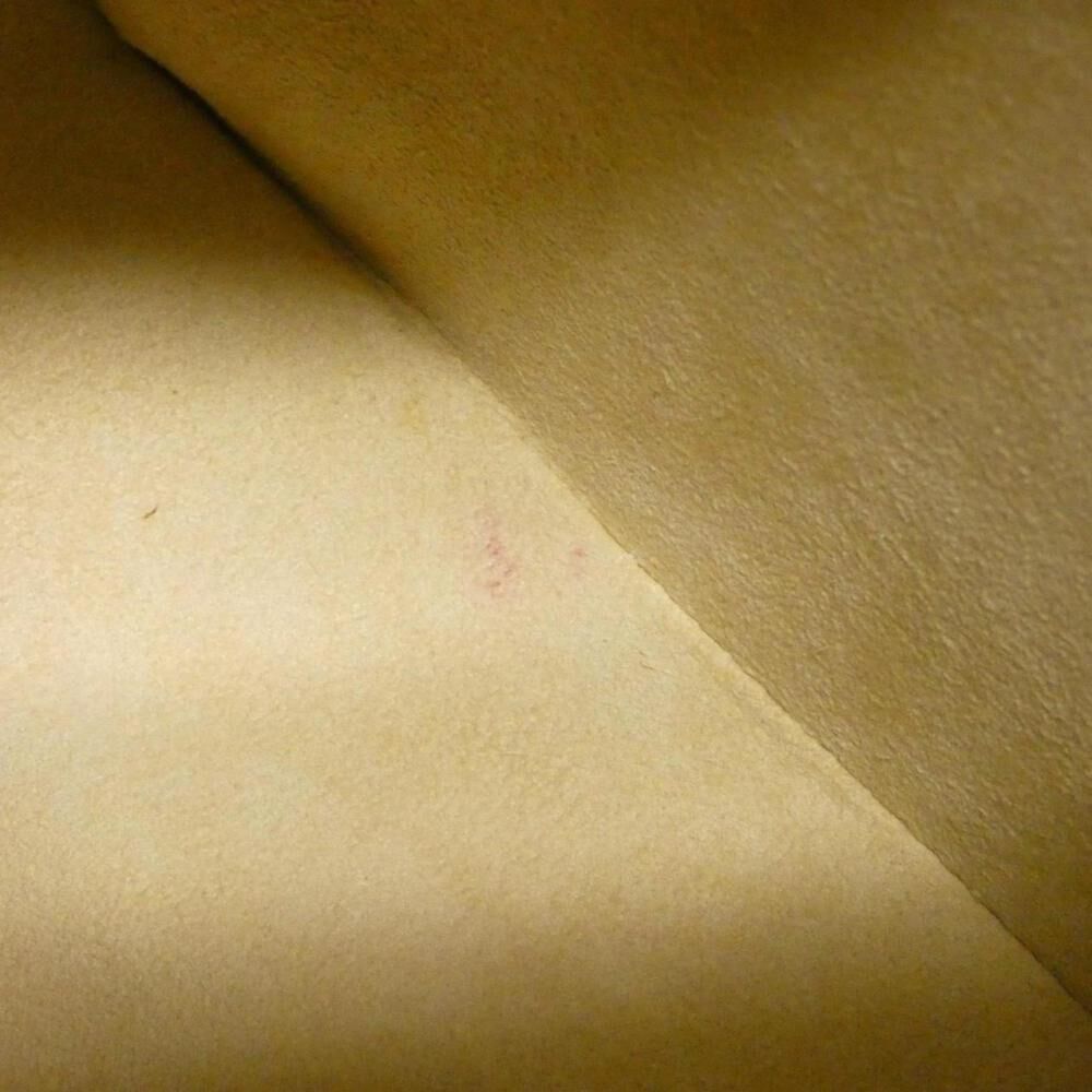 Louis Vuitton Looping