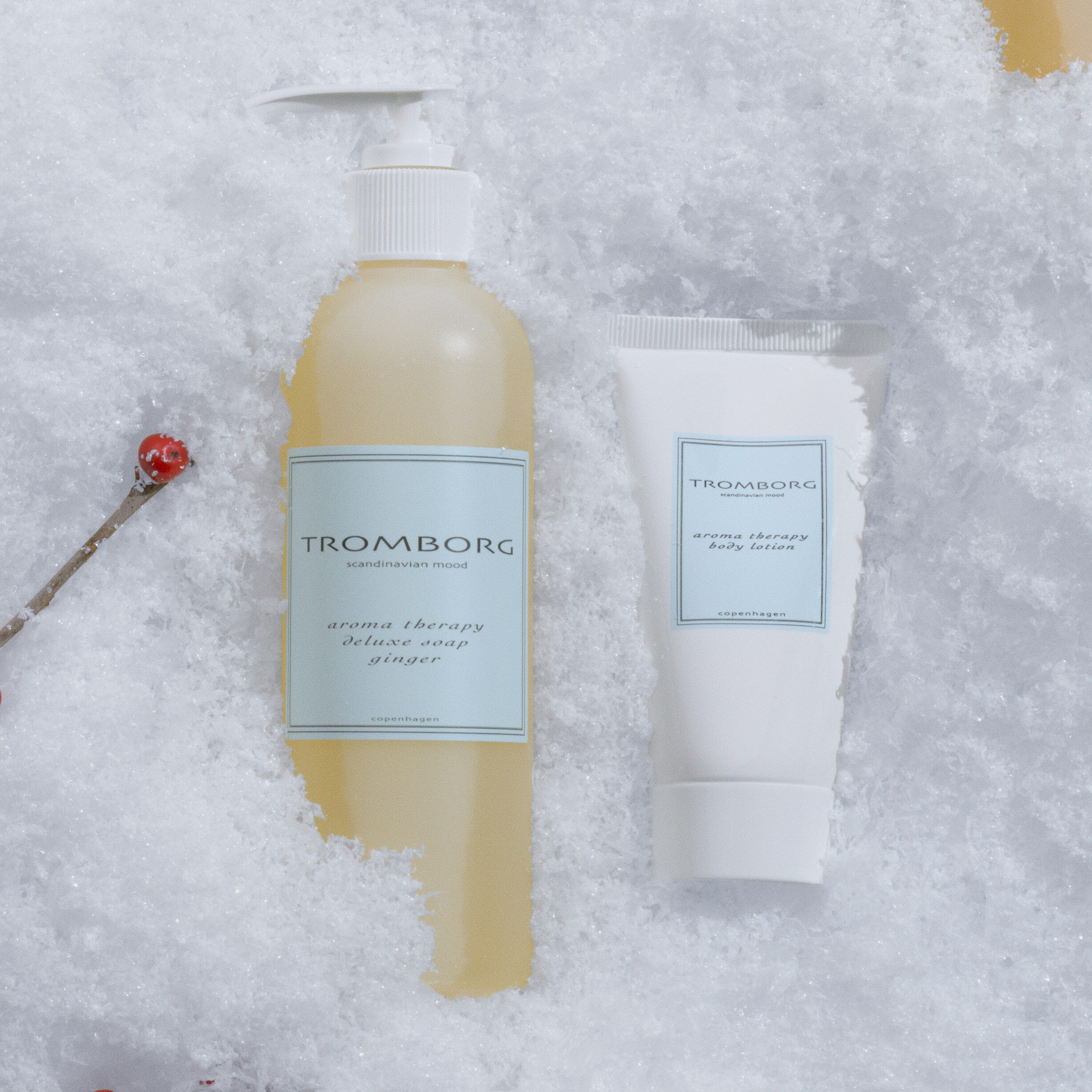 Aroma Therapy Deluxe Soap Ginger Ga