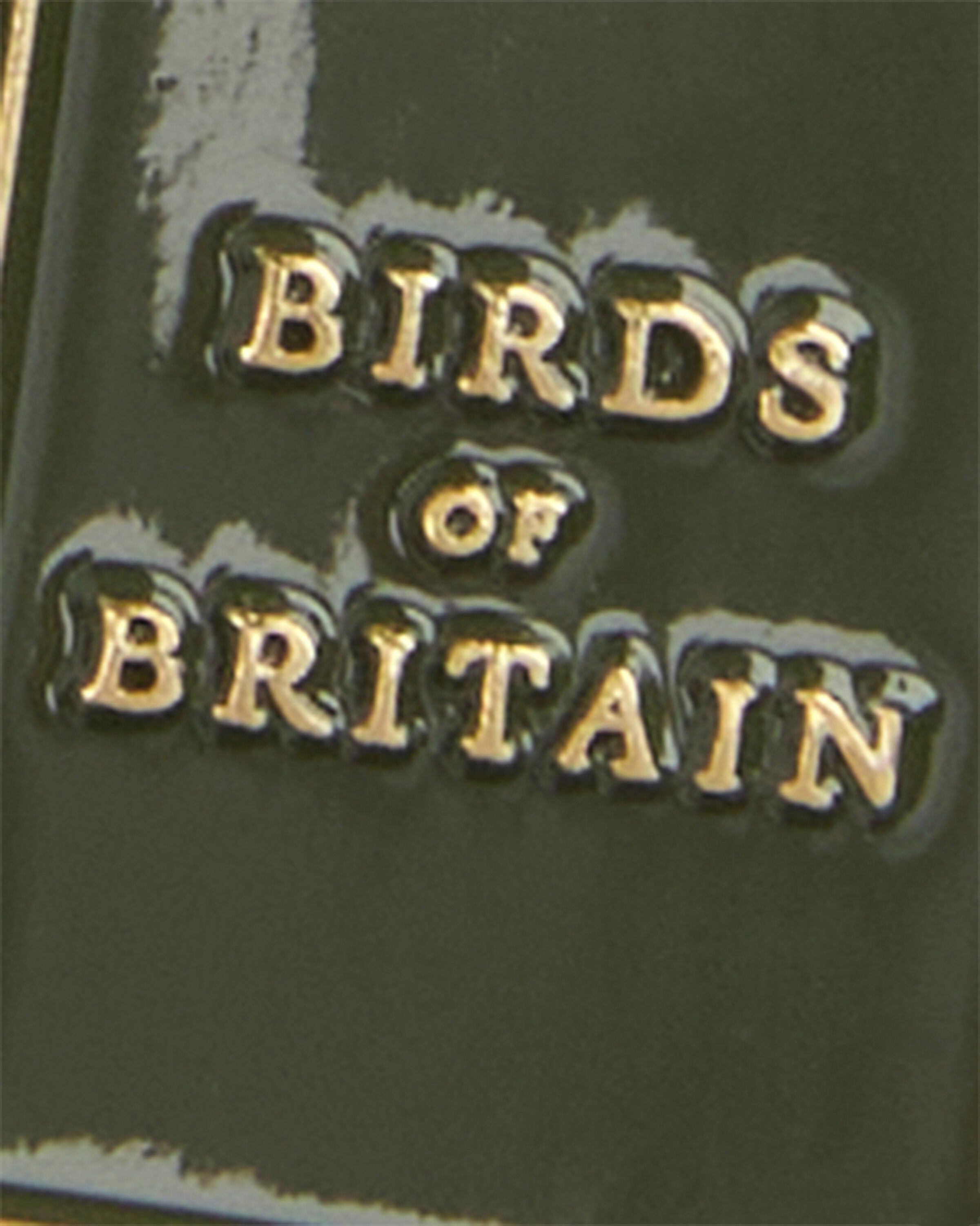 Barbour Bird Spotter