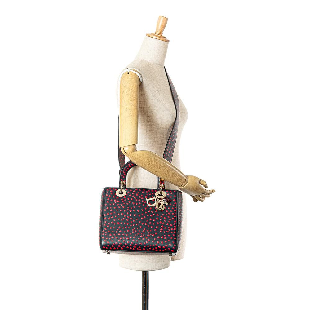Dior Lady Dior