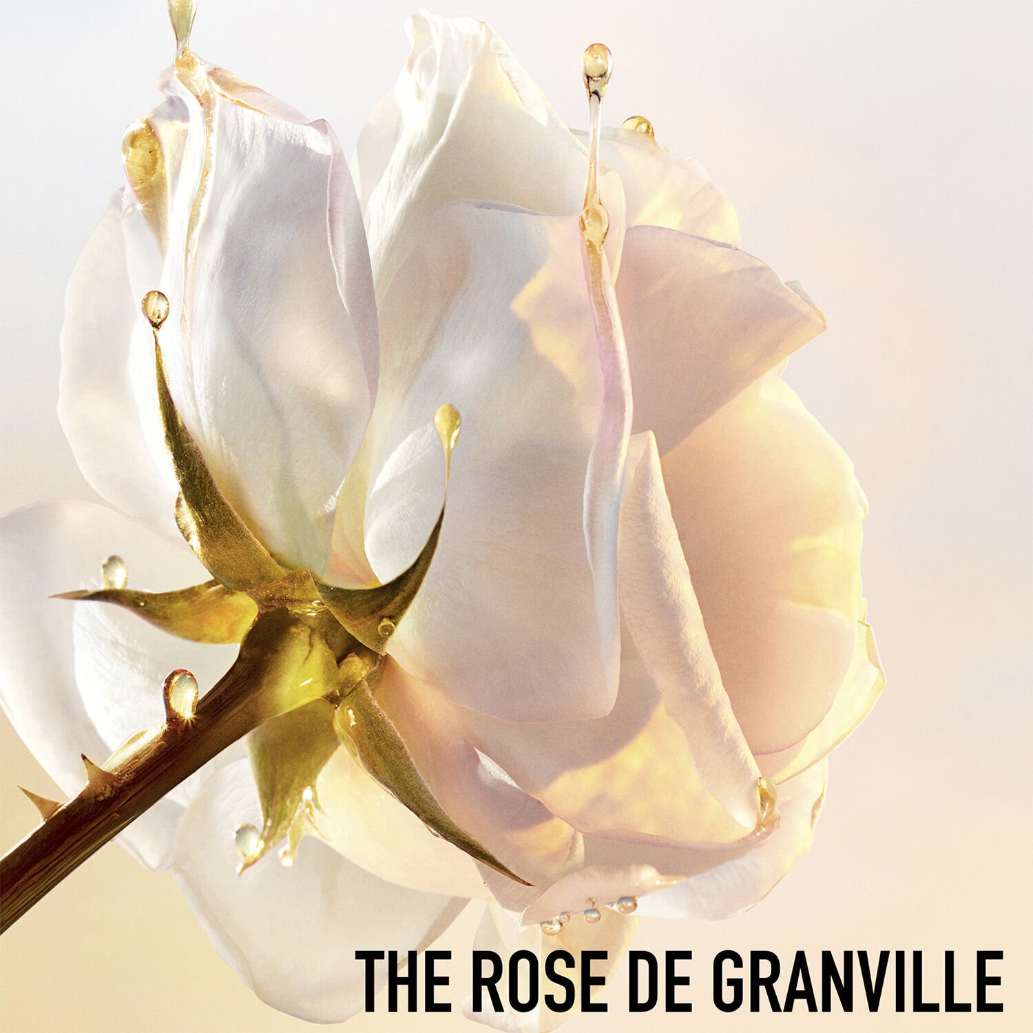 Dior Prestige La Mousse Micellaire Face Cleanser