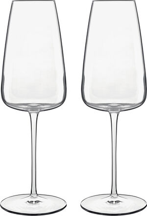Talismano 2 stk. champagneglas klar 40 cl Ø7,8cm H