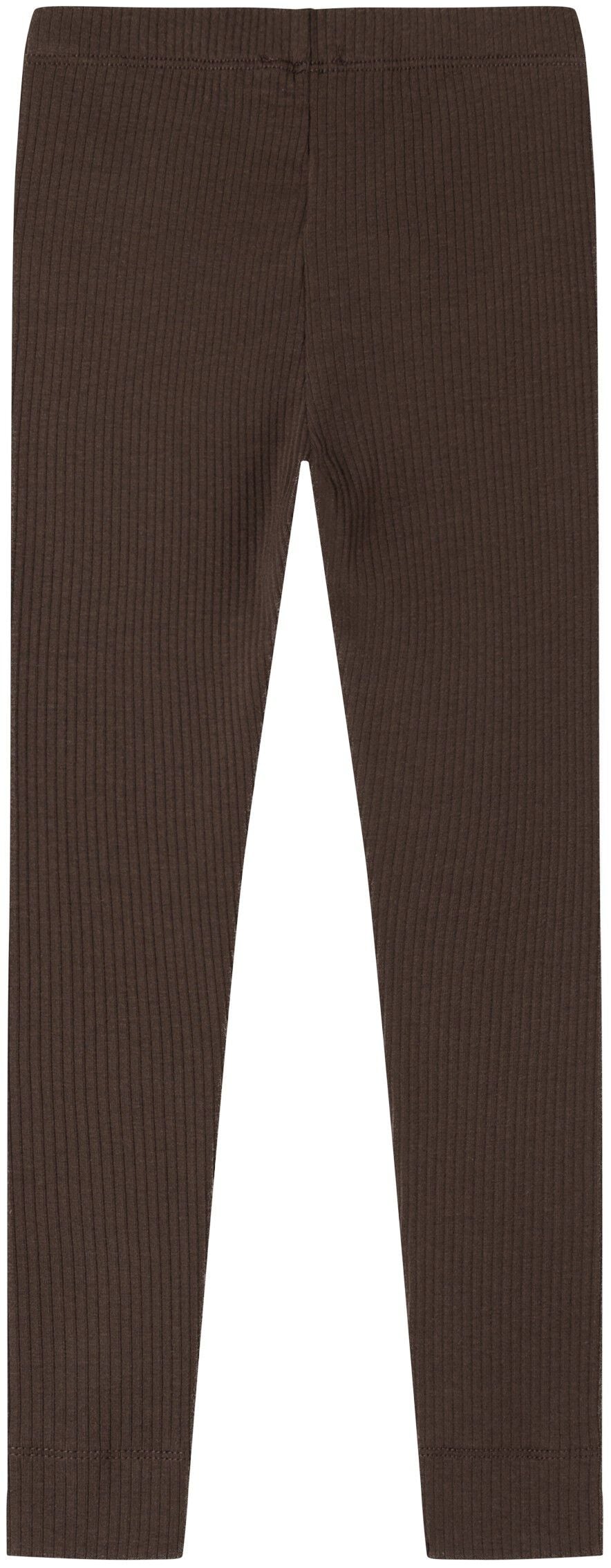 Leg