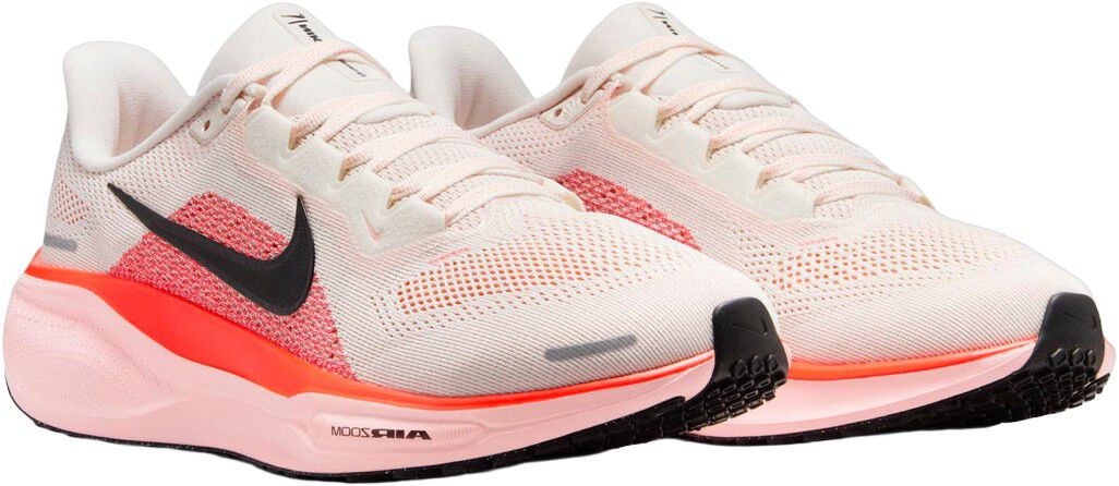 Pegasus 41 L&oslash;besko