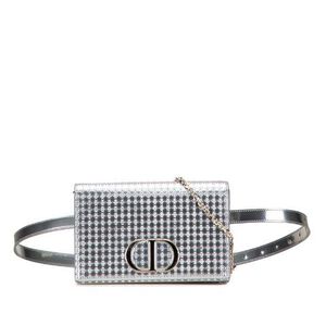 Dior Belt Bag